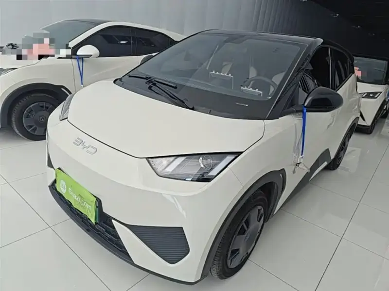 BYD Seagull, 2025