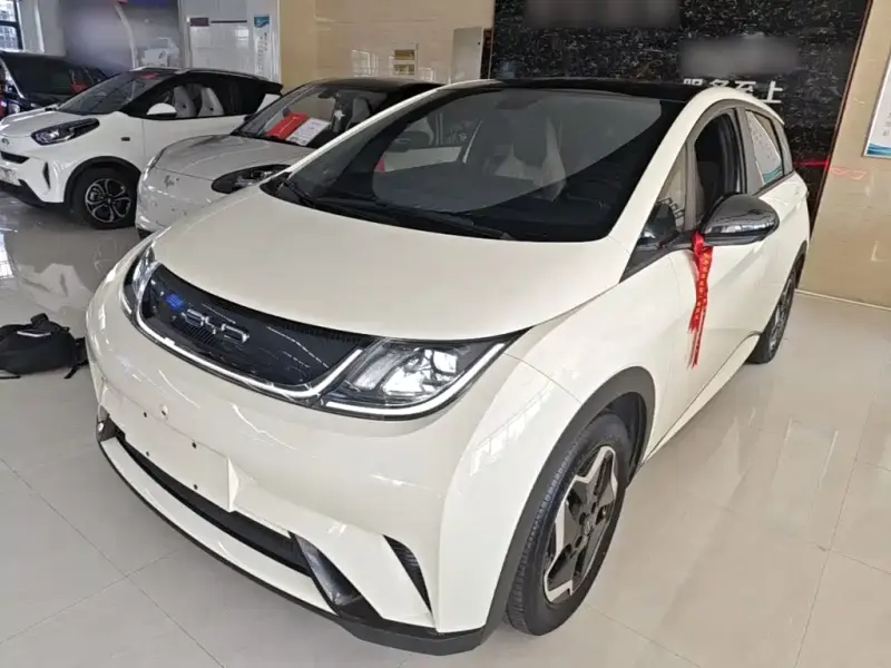BYD Dolphin, 2023