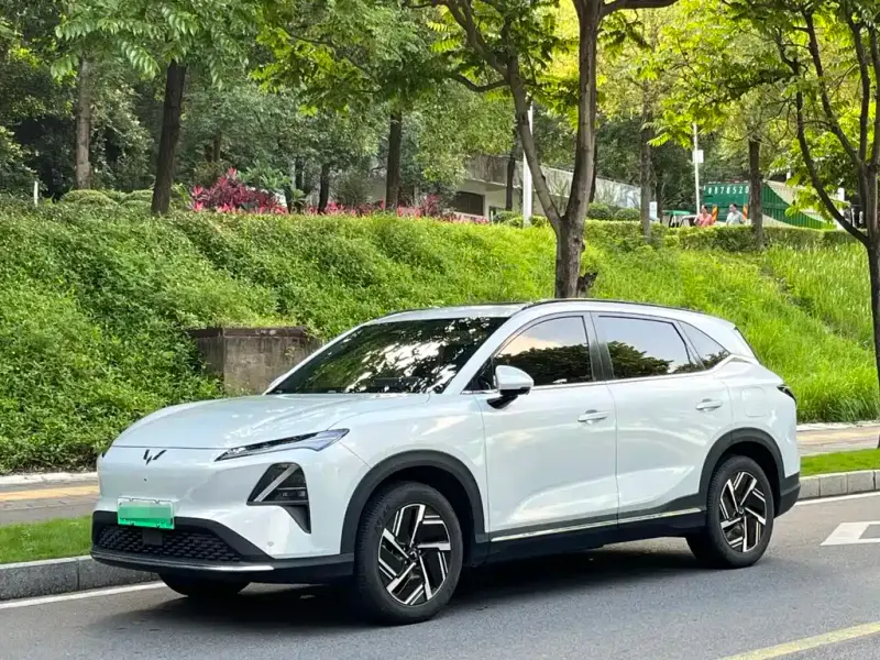 Wuling Xingguang S, 2024