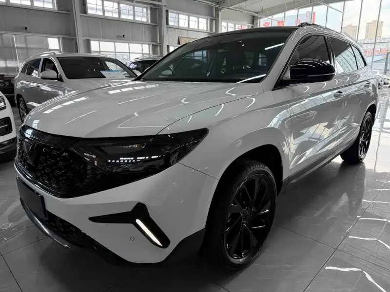 Jetta VS7, 2023