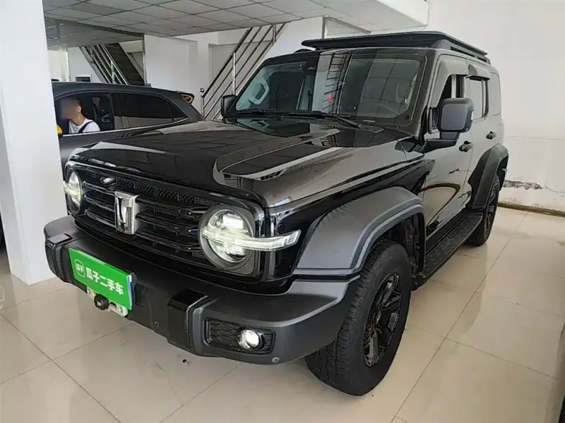 Tank 300, 2021