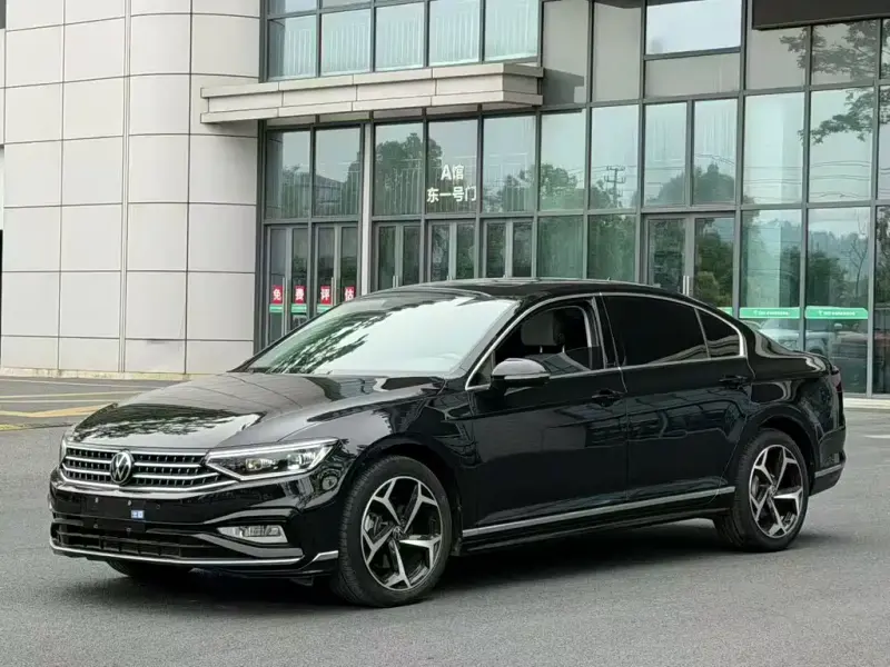 Volkswagen Magotan, 2024