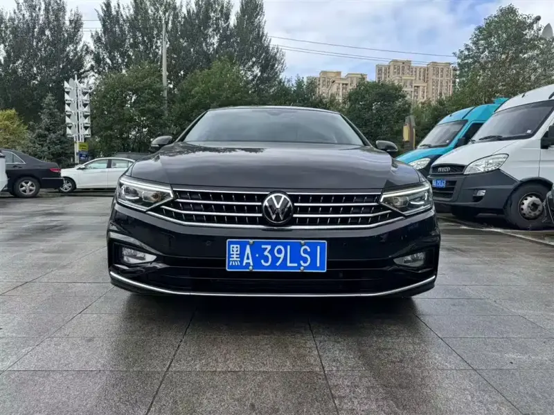 Volkswagen Magotan, 2024