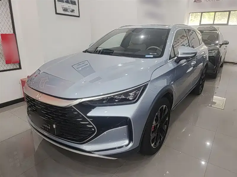 BYD Tang New Energy, 2024