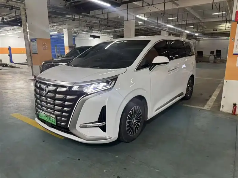 Denza D9, 2024