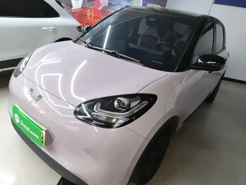 Wuling Bingo, 2024