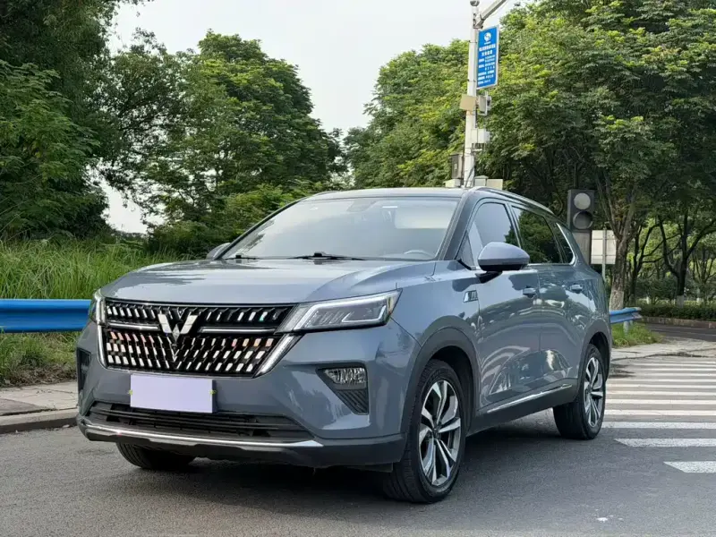 Wuling Xingchen, 2022