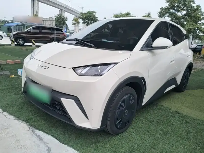 BYD Seagull, 2024
