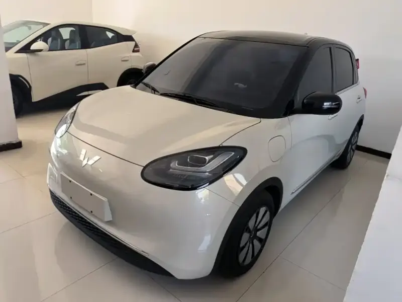 Wuling Bingo, 2025