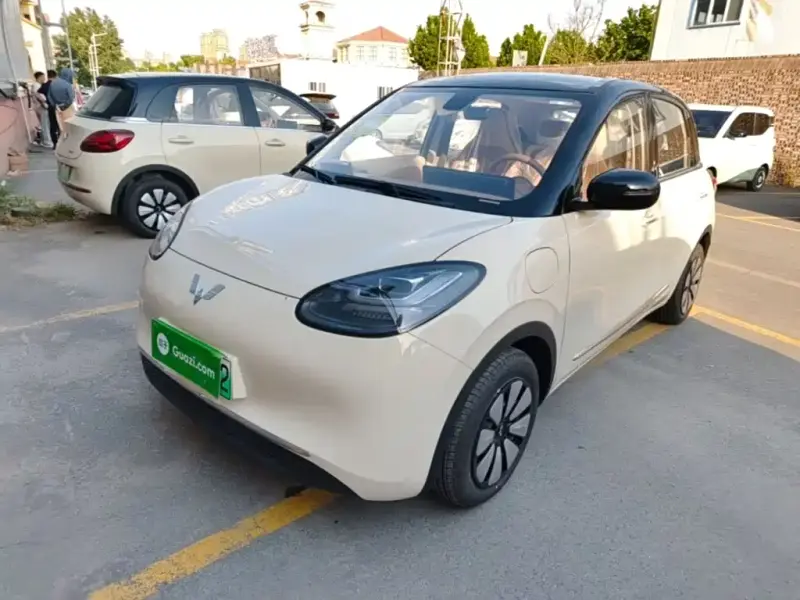 Wuling Bingo, 2026
