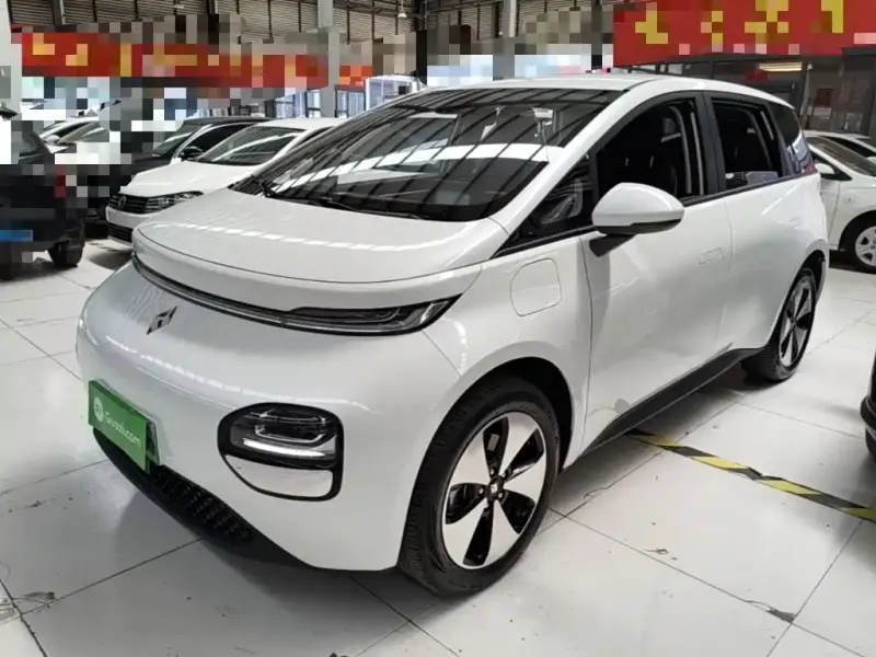 Baojun Yunduo, 2024