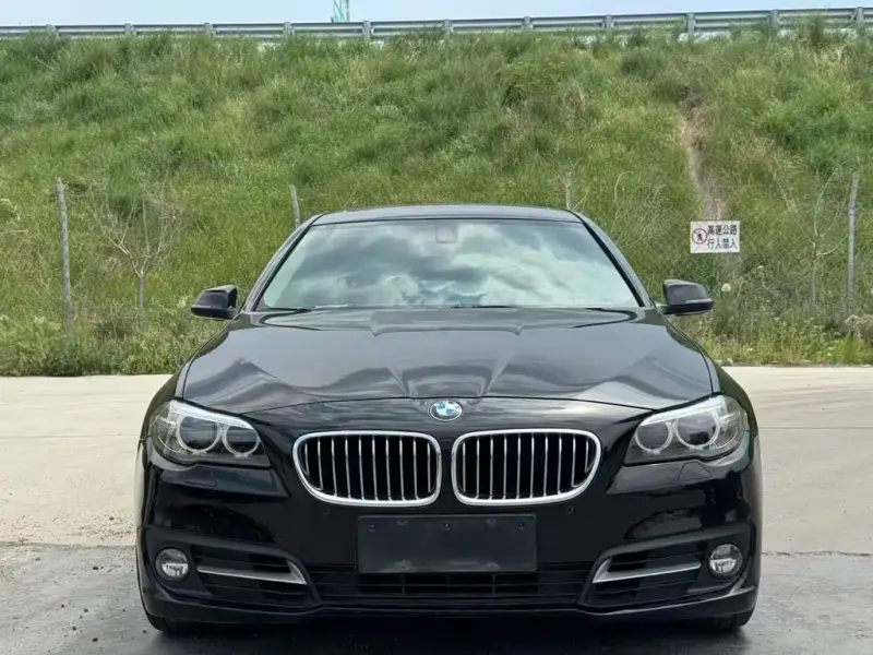BMW 5 Series, 2015