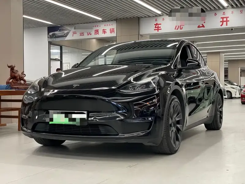 Tesla Model Y, 2021