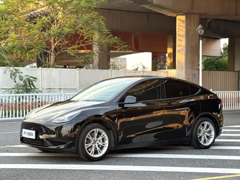 Tesla Model Y, 2022