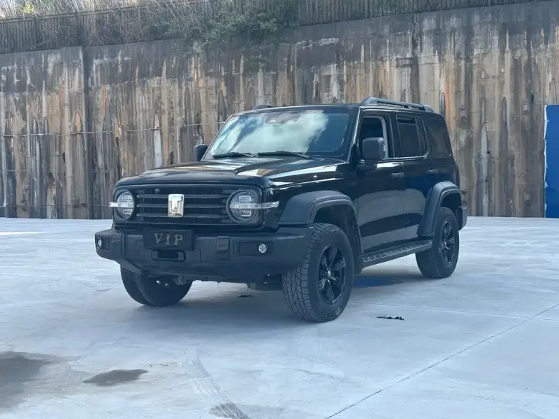Tank 300, 2021