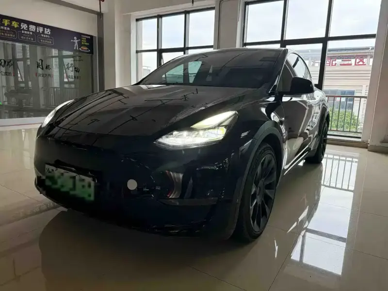 Tesla Model Y, 2021