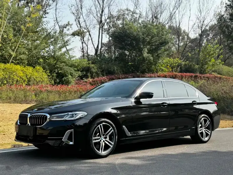 BMW 5 Series, 2021