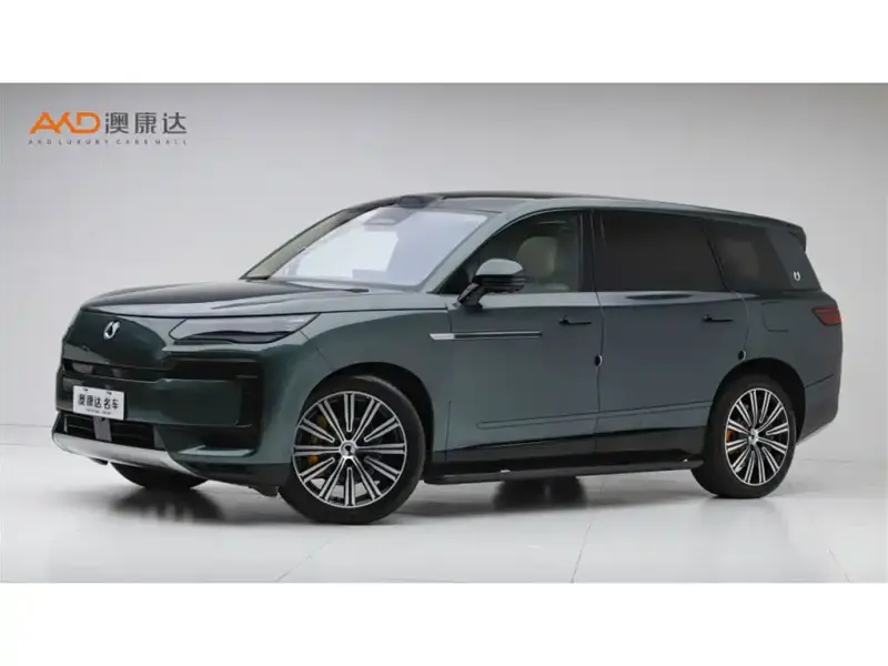 Denza N9, 2025