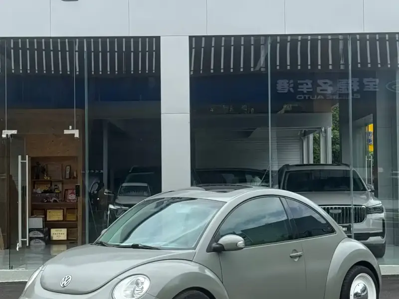 Volkswagen Beetle, 2010