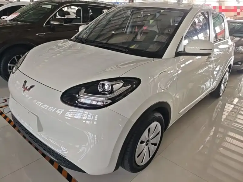 Wuling Bingo, 2024