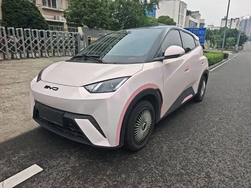 BYD Seagull, 2024