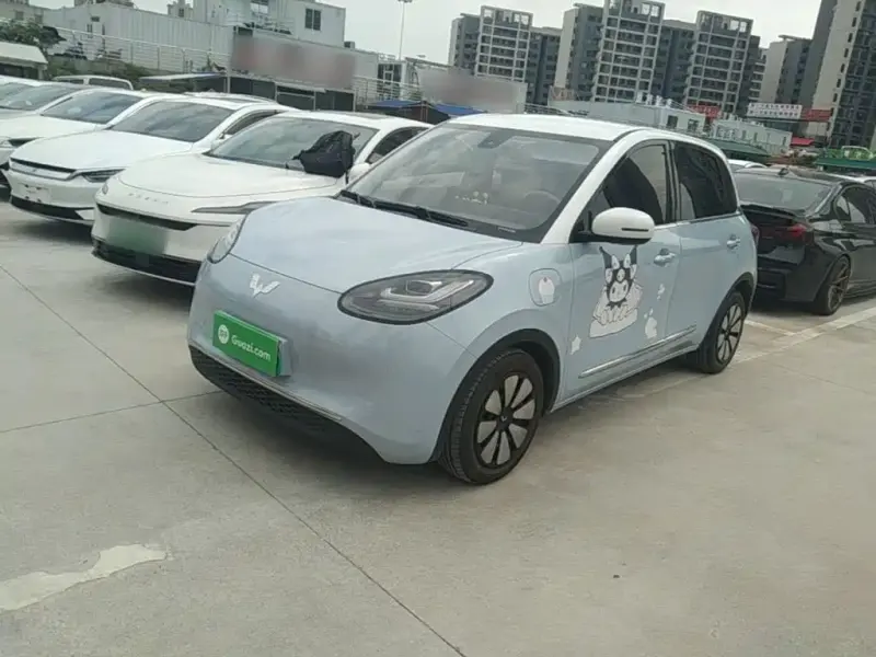 Wuling Bingo, 2024