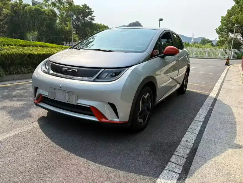 BYD Dolphin, 2022