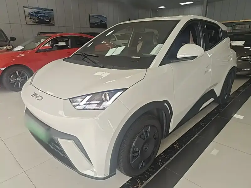 BYD Seagull, 2025