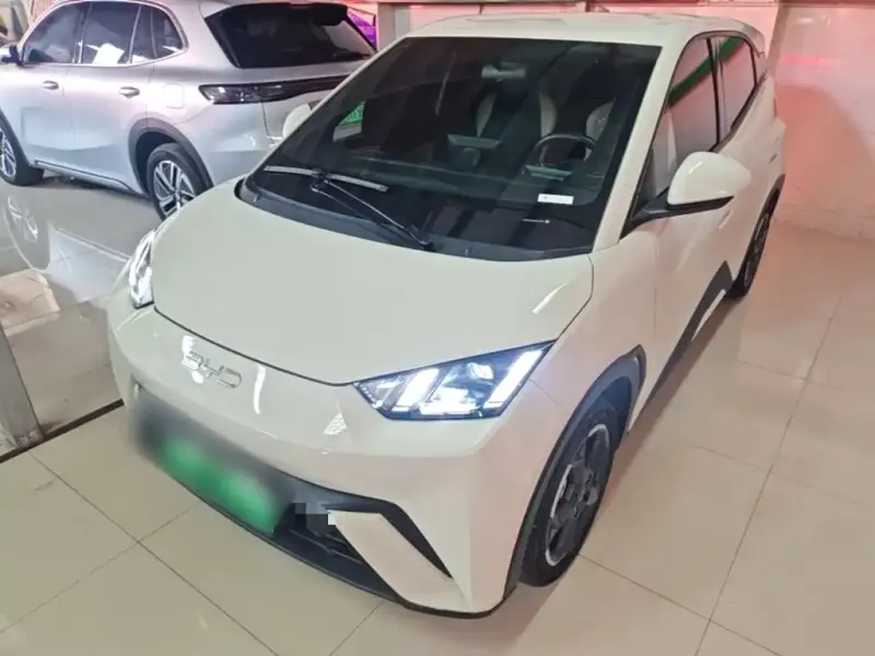 BYD Seagull, 2024
