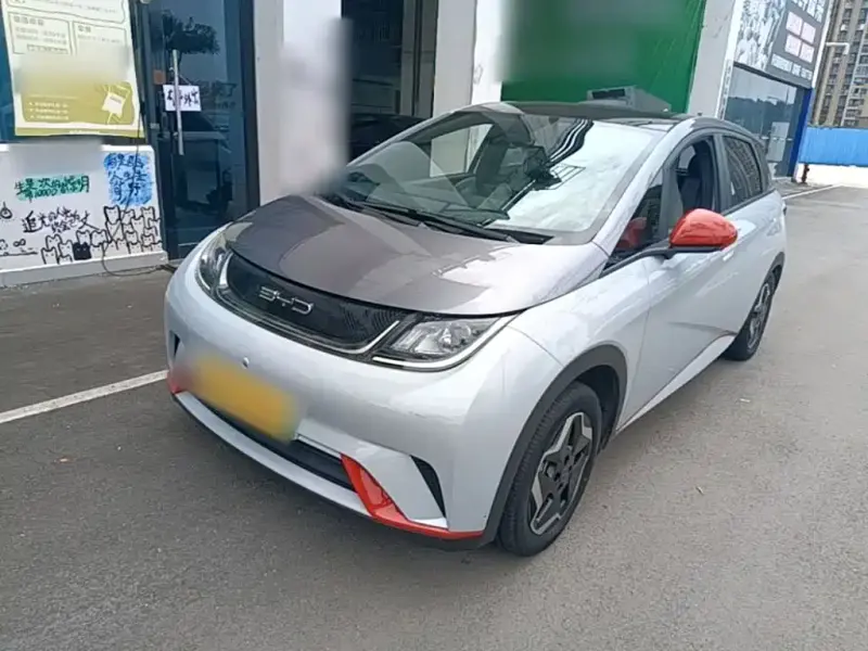 BYD Dolphin, 2022
