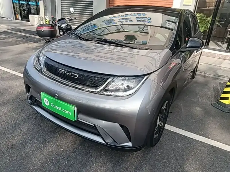 BYD Dolphin, 2022
