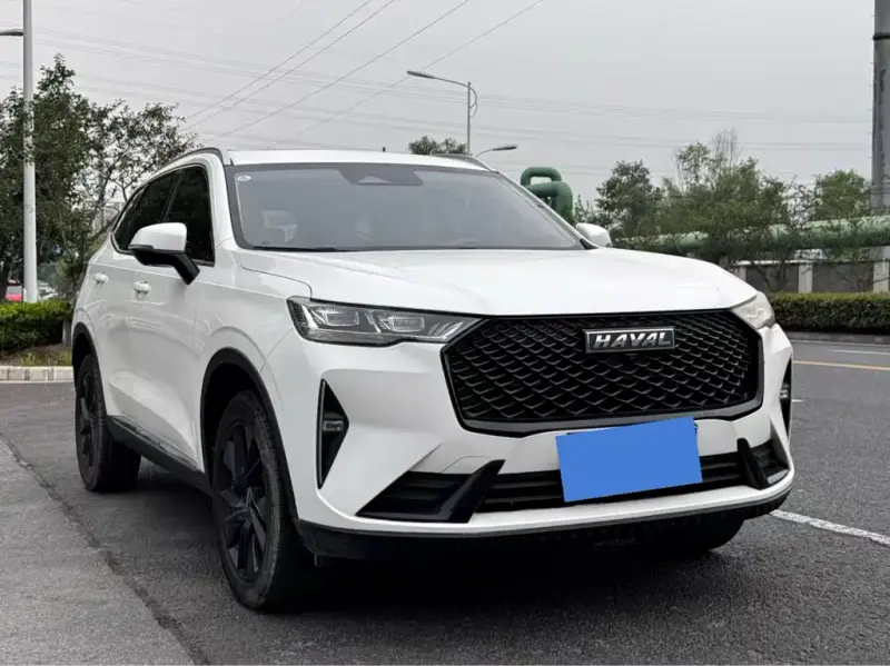 Haval H6, 2021