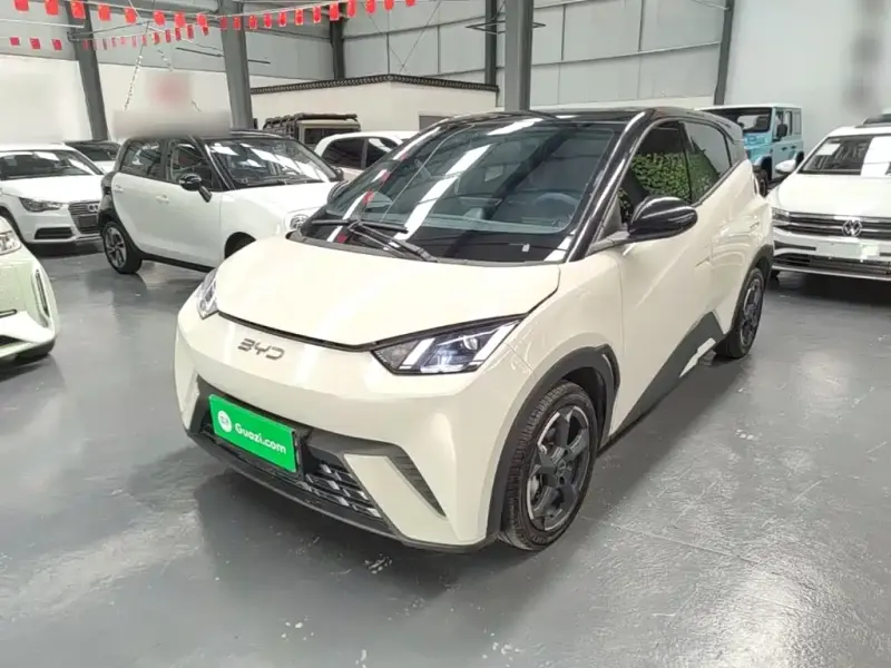 BYD Seagull, 2024