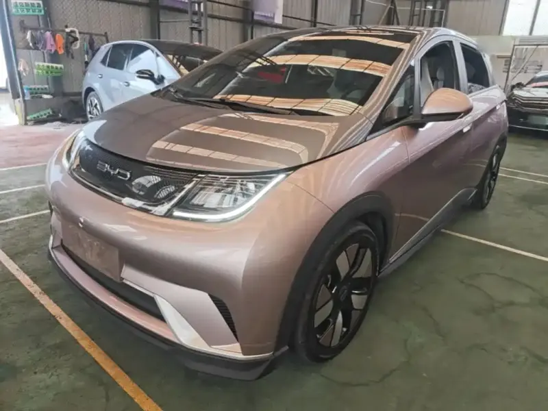 BYD Dolphin, 2022