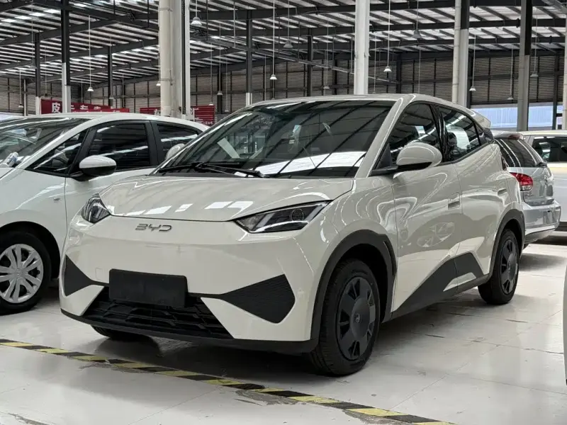 BYD Seagull, 2026