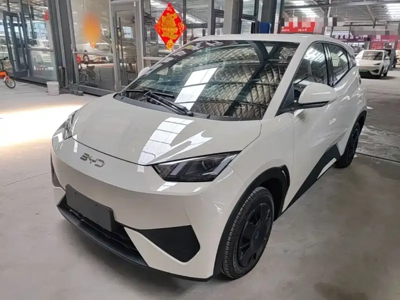 BYD Seagull, 2026