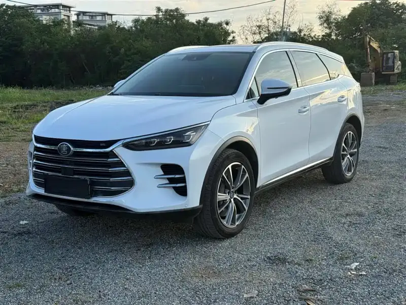 BYD Tang New Energy, 2019