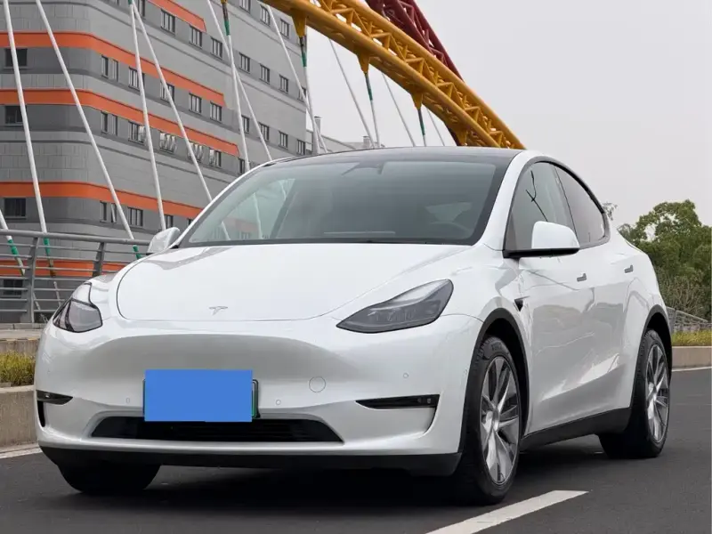 Tesla Model Y, 2021