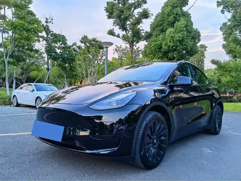 Tesla Model Y, 2022