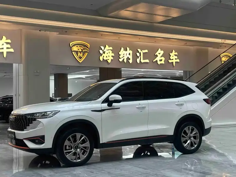Haval H6, 2023