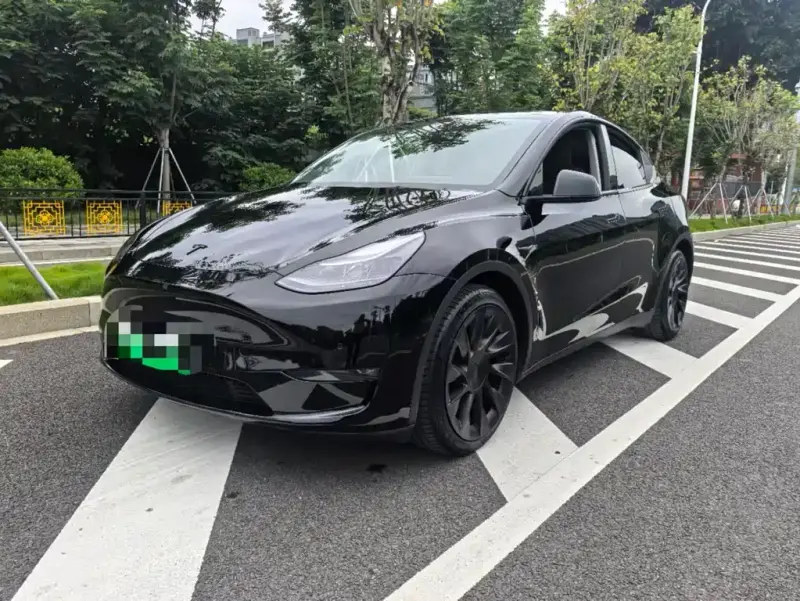 Tesla Model Y, 2021