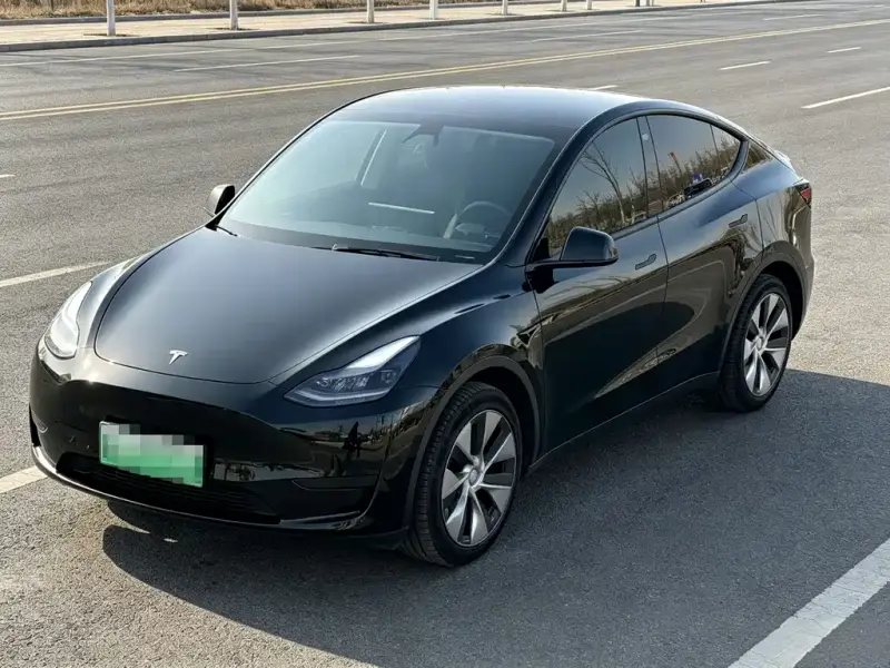 Tesla Model Y, 2021