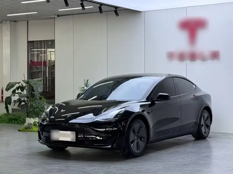 Tesla Model 3, 2023