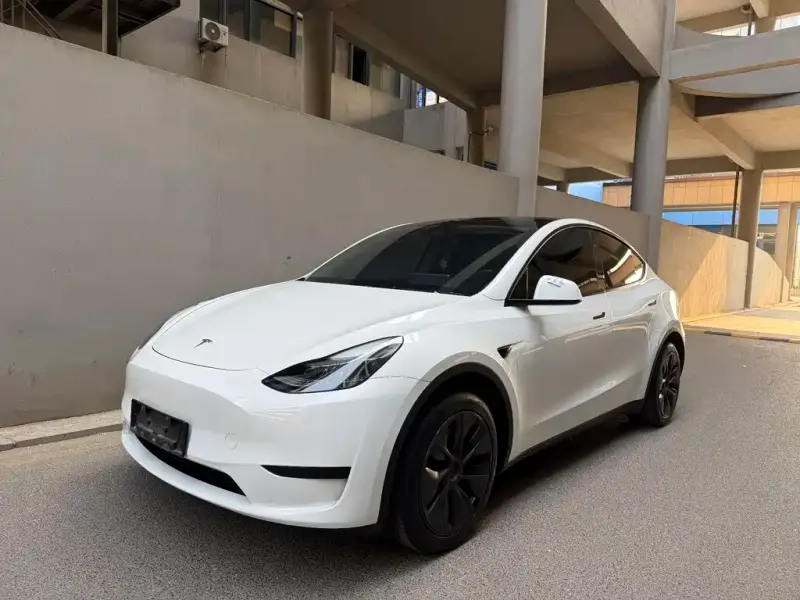 Tesla Model Y, 2024