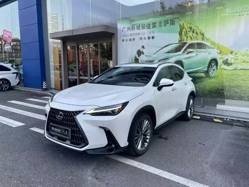 Lexus NX New Energy, 2022