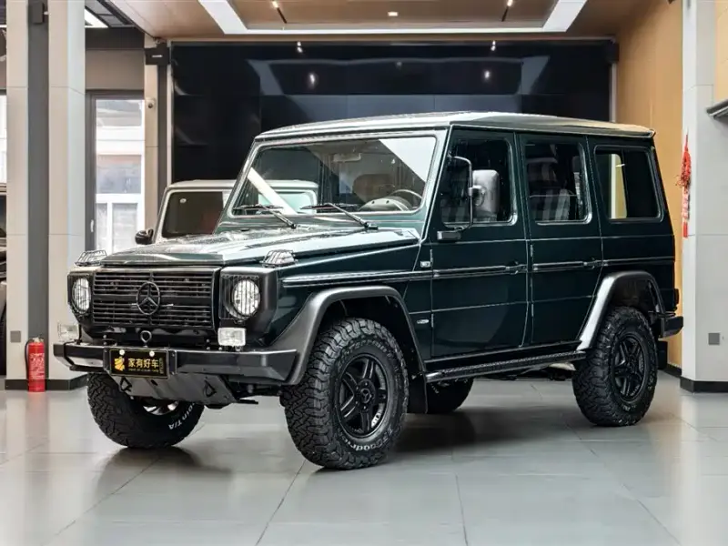 Mercedes-Benz G-Class, 2010