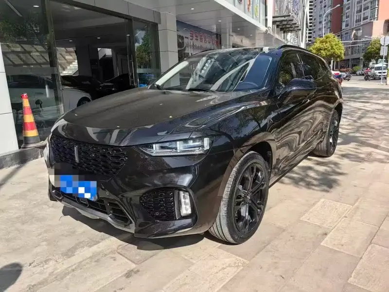 Wey VV7, 2019