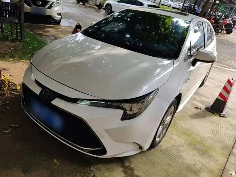 Toyota Levin, 2019