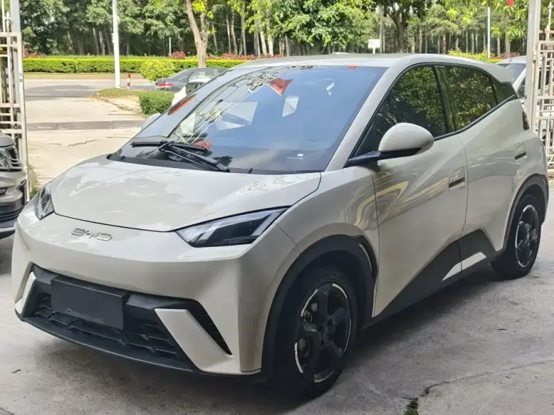 BYD Seagull, 2023