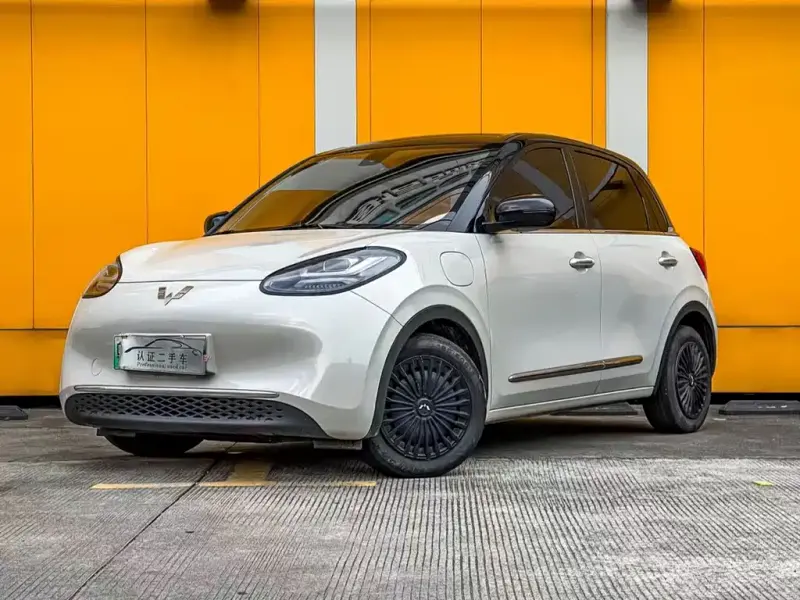 Wuling Bingo, 2024